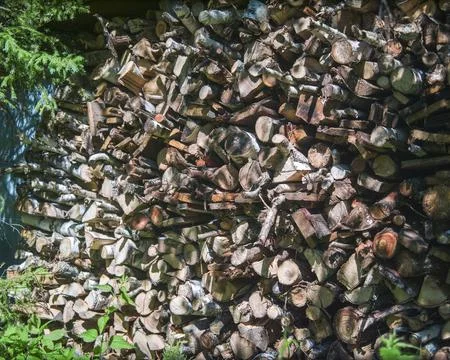 Firewood in backyard Stockfoto's