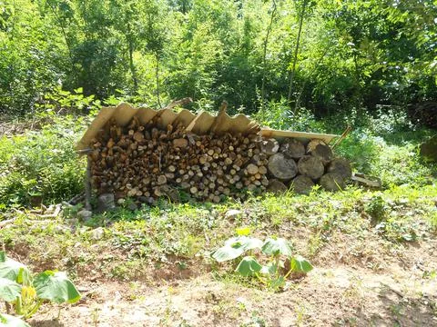Firewood in the backyard ready for heating in winter Stock Photos