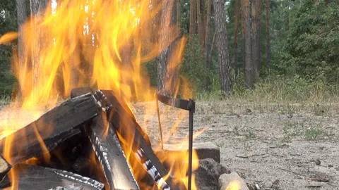 Firewood blazes with a bright fire Stock Footage 201239882
