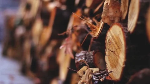 Firewood Blur stabilized Stock Footage 78766921