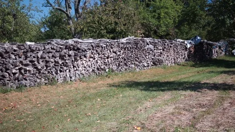 Firewood built between trees Stock Footage 115768629