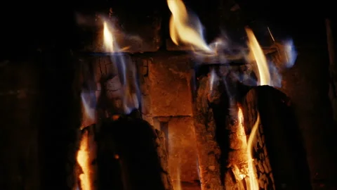 Firewood burn, close-up Stock Footage 93033976
