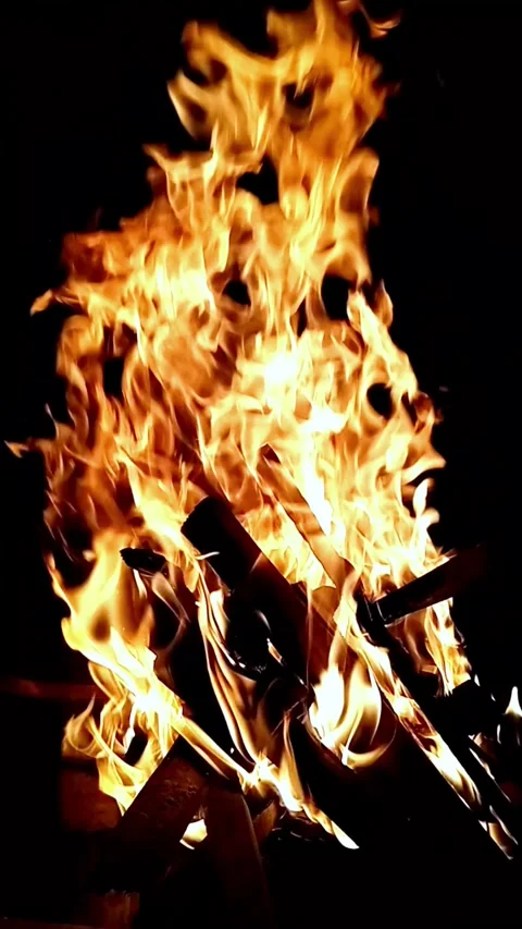 Firewood burn Video stock 241542899