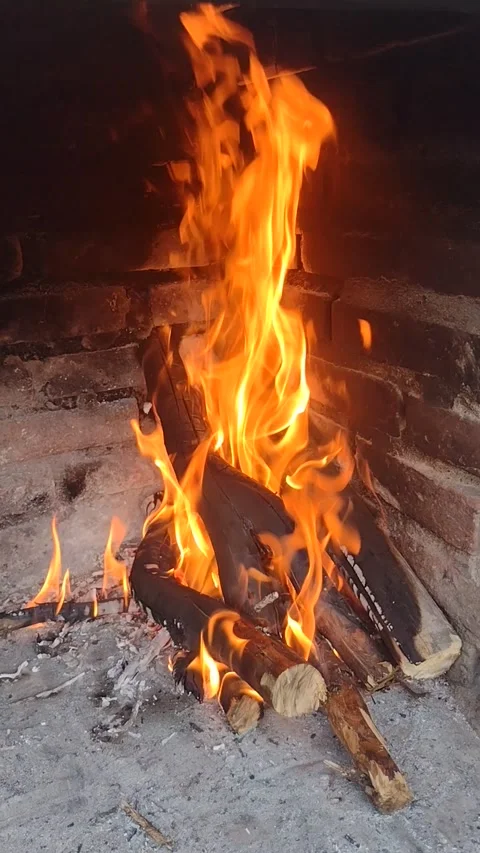 Firewood burning in a bonfire Stock Footage 260234205