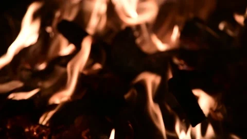 Firewood burning in a campfire in the evening Stock Footage 159678896