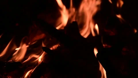Firewood burning in a campfire in the evening Stock Footage 159678925