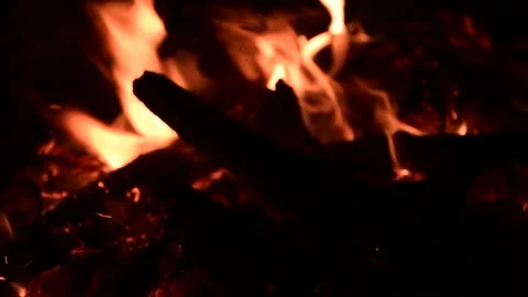 Firewood burning in a campfire in the evening Stock Footage 159678945