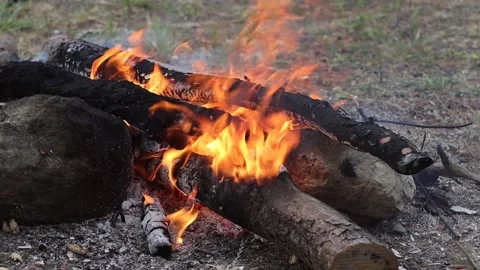 Firewood burning in Campfire (Slow Motion) Stock Footage 301410038