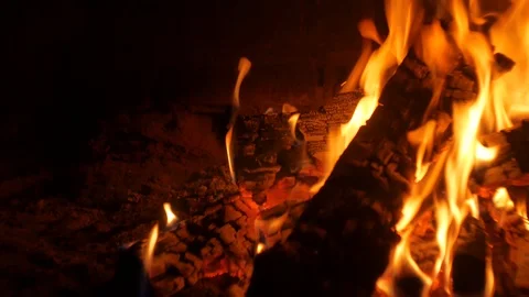 Firewood burning in the fireplace. Stock Footage 89408316