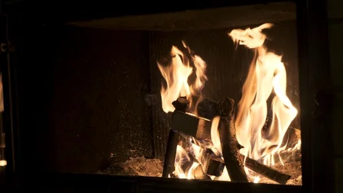 Firewood is burning in the fireplace Stock Footage 125913061