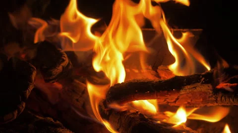 Firewood is burning in the fireplace. Stock Footage 157536278