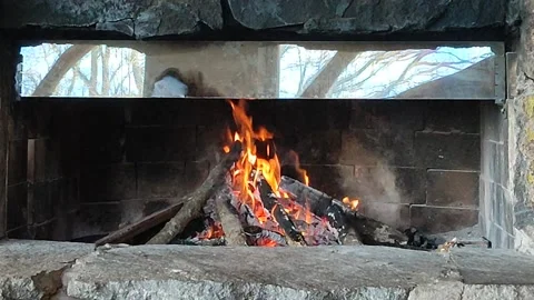 Firewood burning in fireplace Stock Footage 202267023