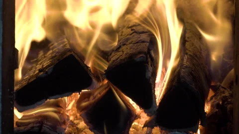 Firewood is burning in the fireplace Video stock 257216196