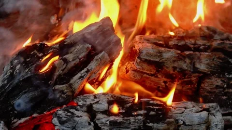 Firewood Burning in Fireplace Video stock 342120480