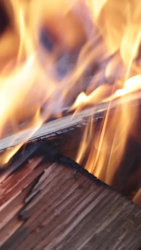 Firewood burning. Flame of fire from burning charcoal log. Selective Focus. Vert Stock Footage 266253062