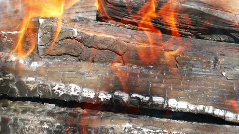 Firewood is burning Stock-Footage 87540201