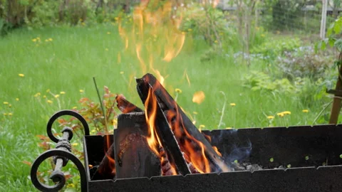 Firewood is burning Stock-Footage 151395071