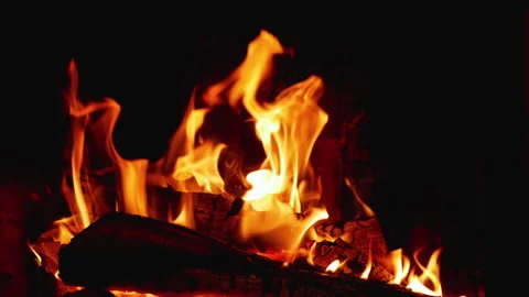 Firewood burning Stock Footage 169011780
