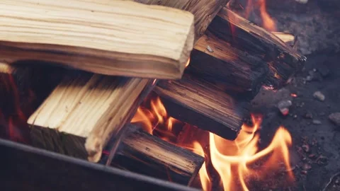 The firewood is burning Stock Footage 286837576