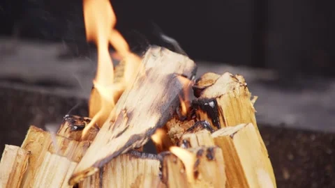 The firewood is burning Stock Footage 286838016