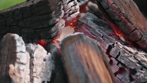 Firewood burning on grill. Texture fire bonfire embers. Smoldering fire. Slow Stock Footage 171996029