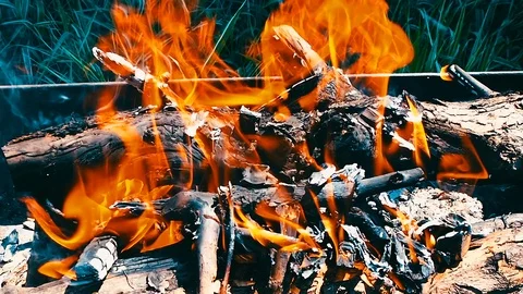 Firewood is burning in the iron brazier Stock Footage