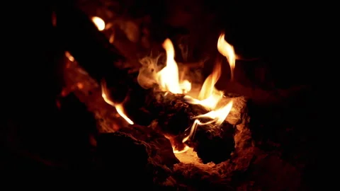 Firewood Burning in the Night Stock Footage 293259357