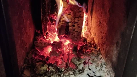 Firewood is burning in the oven Stock Footage 163764620