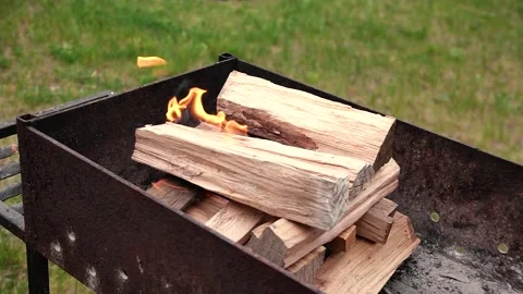 Firewood burns in the brazier Stock Footage 137828072