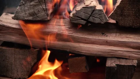 Firewood burns in the brazier Stock Footage 137828087