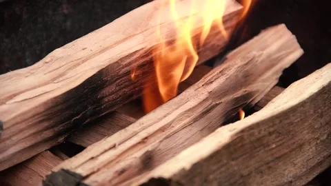 Firewood burns in the brazier Stock Footage 137828091