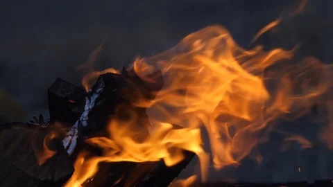 Firewood burns in the fire Stock Footage 84555717