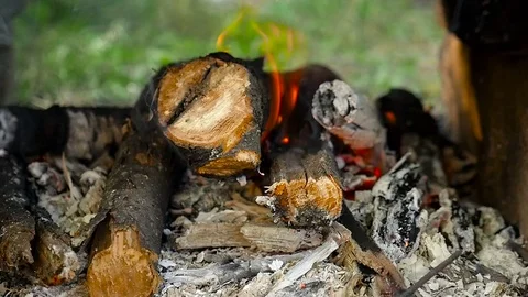 The firewood burns in slow motion in the open air. Close-up. Stock Footage 80312025