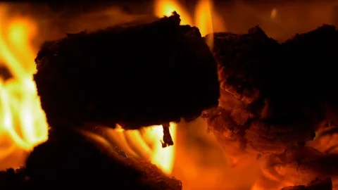 Firewood burns in the stove Stock Footage 99363360