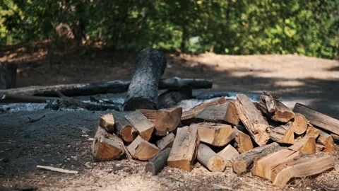 Firewood for Campfire in Forest Stock Footage 283891893
