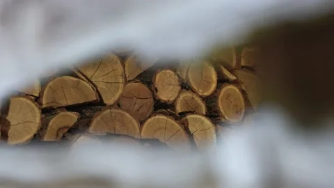 Firewood in the Chamber Stock Footage 204886165