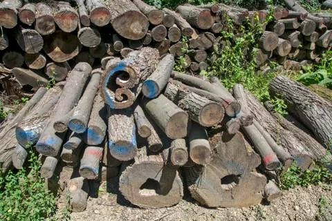Firewood on the crowd Stock Photos
