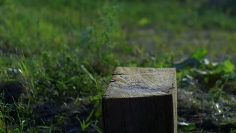 Firewood falls on the stand Stock Footage 82407164