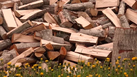 Firewood filling up the frame Stock Footage 239650847