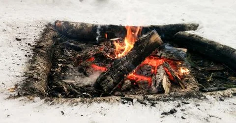 Firewood in the fire. Stock Photos