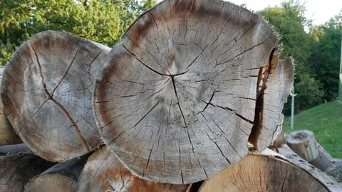 Firewood for fireplace Foto stock