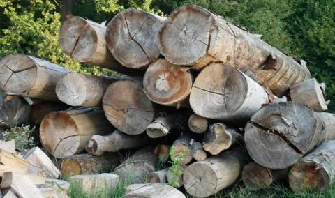 Firewood for fireplace Foto stock