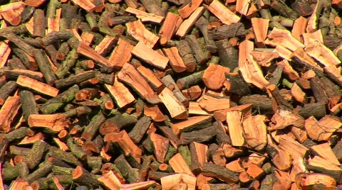 Firewood Video stock 827681