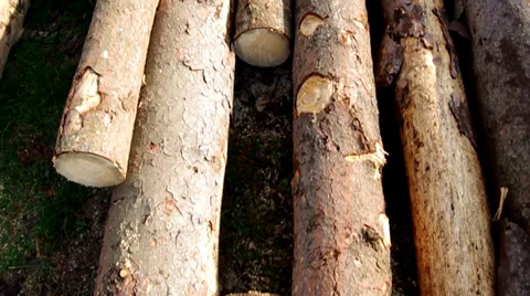 Firewood Stock Footage 32242596