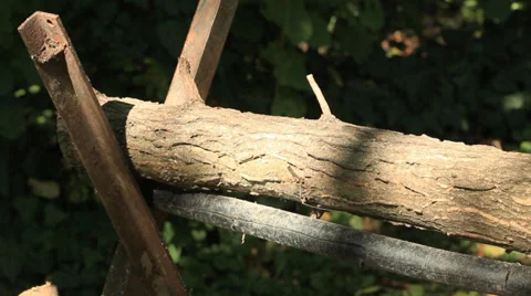 Firewood Stock Footage 35811983