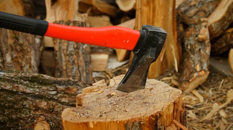 Firewood Stock Footage 37313300