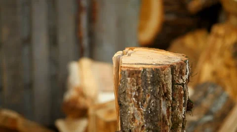 Firewood Stock Footage 37313335