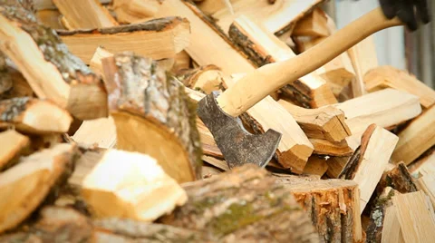Firewood Stock Footage 37313714