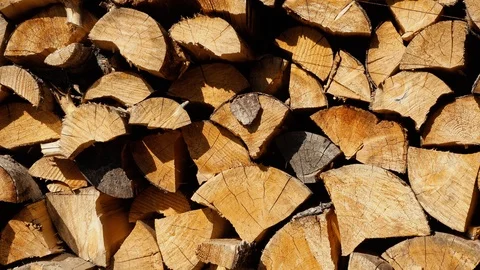 Firewood. Video stock 92348829