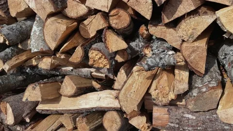 Firewood Stock Footage 171751006